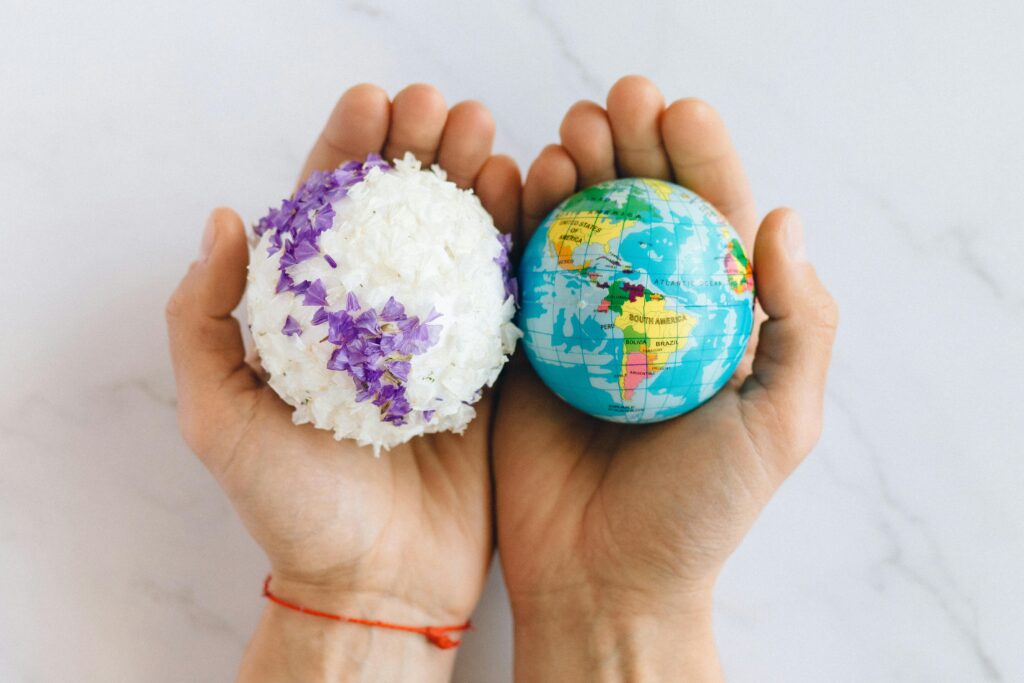 The Future of Plastic Recycling: A Step Toward Sustainability